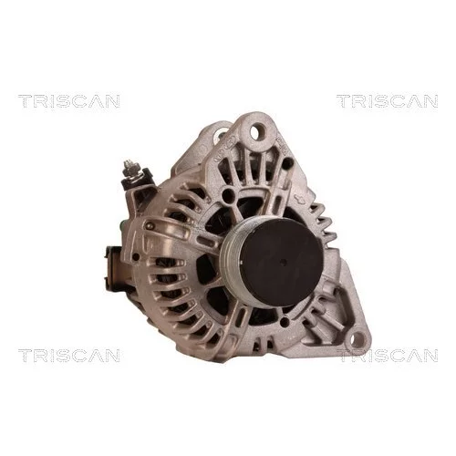 Alternátor 8310 29011 /TRISCAN/ - obr. 4