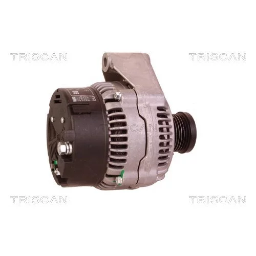 Alternátor 8310 29022 /TRISCAN/ - obr. 2