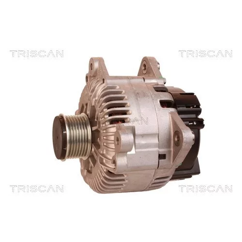 Alternátor 8310 29036 /TRISCAN/ - obr. 6