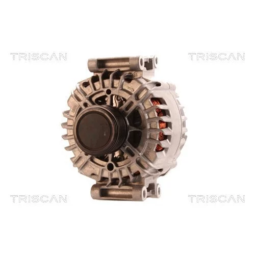 Alternátor 8310 29063 /TRISCAN/ - obr. 5