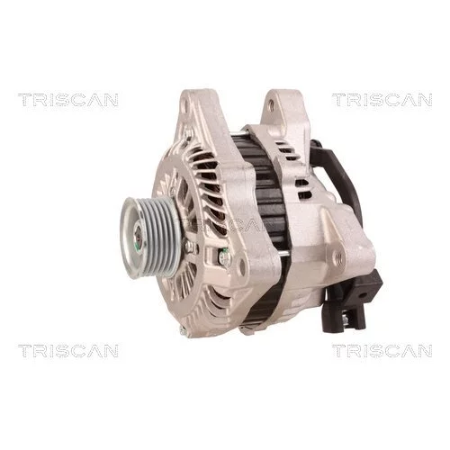 Alternátor 8310 29093 /TRISCAN/ - obr. 6