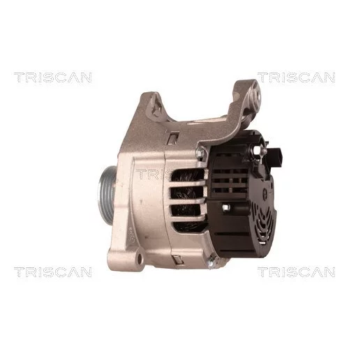 Alternátor 8310 68007 /TRISCAN/ - obr. 7