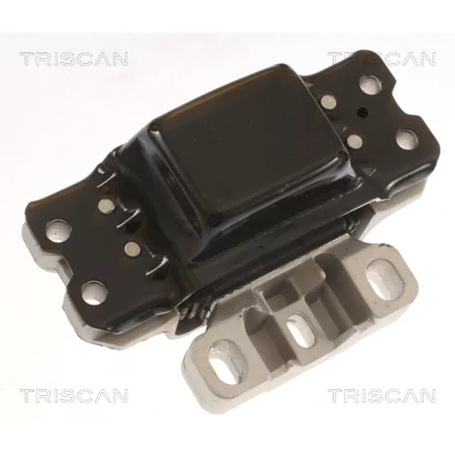 Uloženie motora TRISCAN 8505 29189