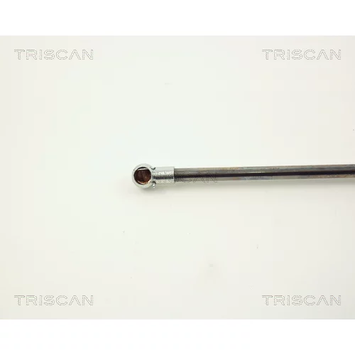 Pneumatická pružina, Batožinový/nákladný priestor 8710 10203 /TRISCAN/ - obr. 2