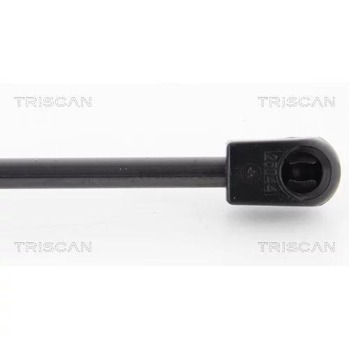 Pneumatická pružina, Batožinový/nákladný priestor 8710 11238 /TRISCAN/ - obr. 2