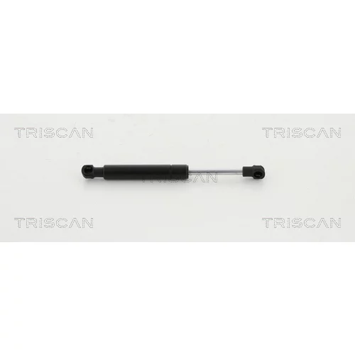 Pneumatická pružina, Batožinový/nákladný priestor TRISCAN 8710 16256