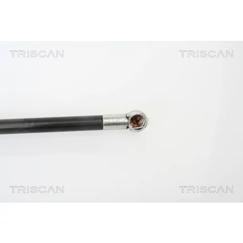 Pneumatická pružina, Batožinový/nákladný priestor 8710 18216 /TRISCAN/ - obr. 2