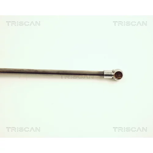 Pneumatická pružina, Batožinový/nákladný priestor 8710 28217 /TRISCAN/ - obr. 2