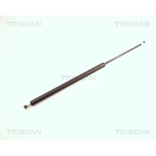 Pneumatická pružina, Batožinový/nákladný priestor TRISCAN 8710 28224