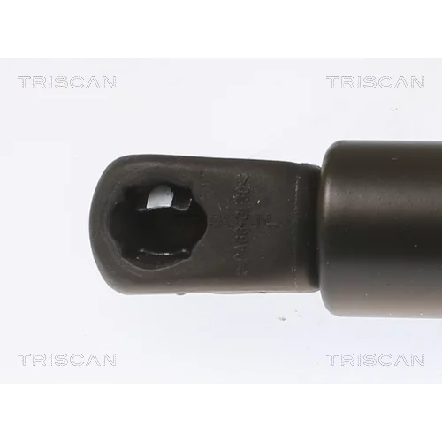 Pneumatická pružina, Batožinový/nákladný priestor 8710 40245 /TRISCAN/ - obr. 1