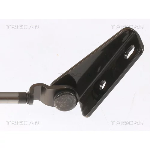 Pneumatická pružina, Batožinový/nákladný priestor 8710 43203 /TRISCAN/ - obr. 2