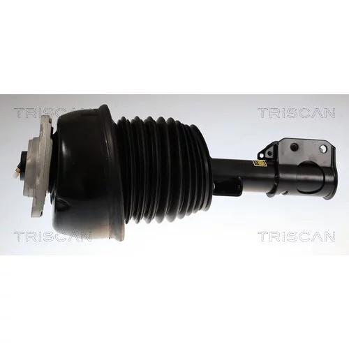 Vzduchový vak TRISCAN 8720 23112