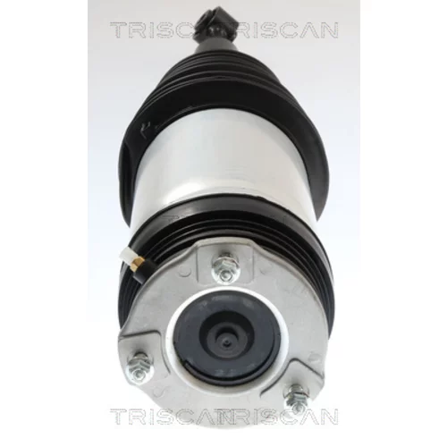 Vzduchový vak 8720 81203 /TRISCAN/ - obr. 1