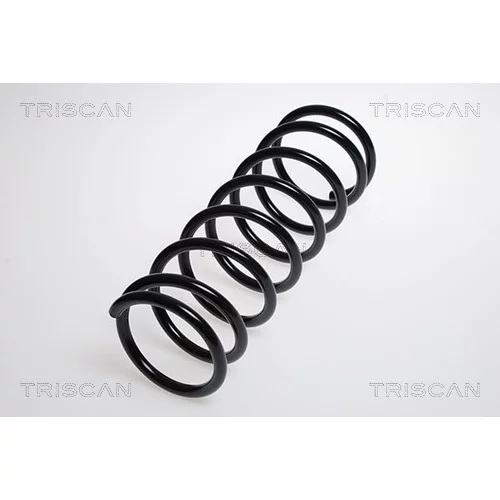Pružina podvozku TRISCAN 8750 1829