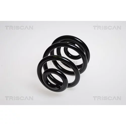 Pružina podvozku TRISCAN 8750 2588