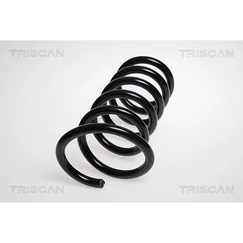 Pružina podvozku TRISCAN 8750 2777