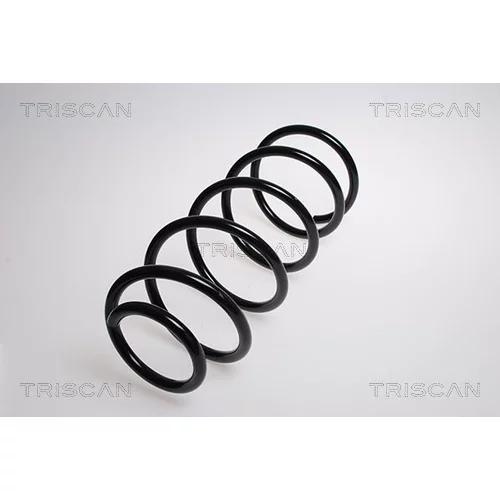 Pružina podvozku TRISCAN 8750 28304
