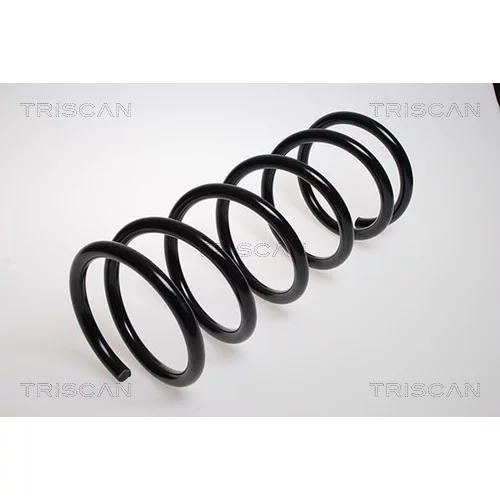 Pružina podvozku TRISCAN 8750 2870