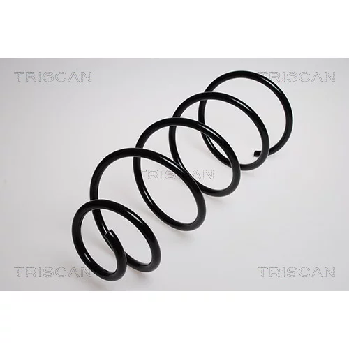 Pružina podvozku TRISCAN 8750 2879