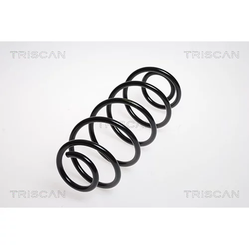 Pružina podvozku TRISCAN 8750 2885