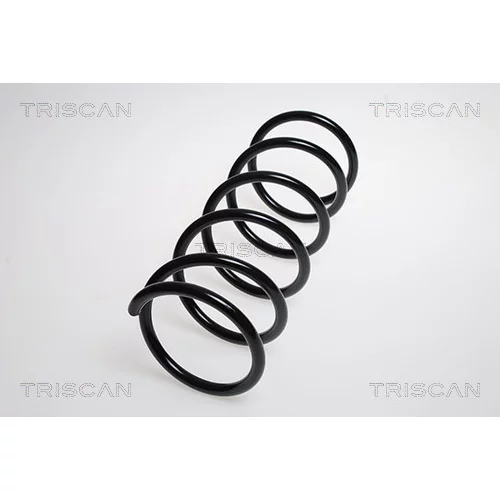 Pružina podvozku TRISCAN 8750 6925