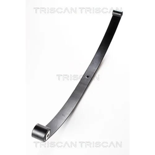 Sada pružín TRISCAN 8765 15001