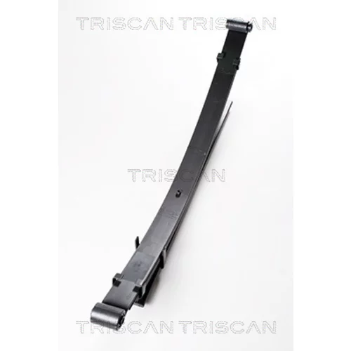 Sada pružín TRISCAN 8765 42008