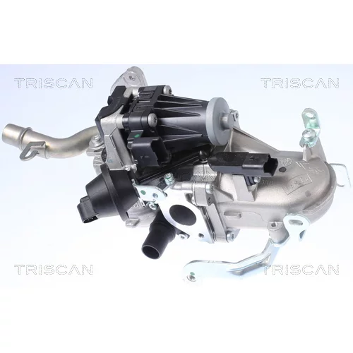 EGR ventil 8813 10106 /TRISCAN/ - obr. 3