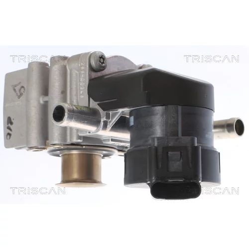 EGR ventil 8813 11011 /TRISCAN/ - obr. 1