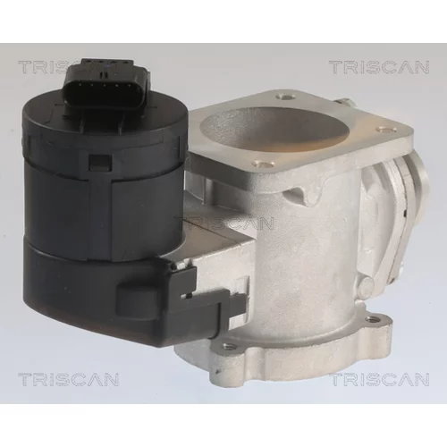 EGR ventil 8813 11020 /TRISCAN/ - obr. 1