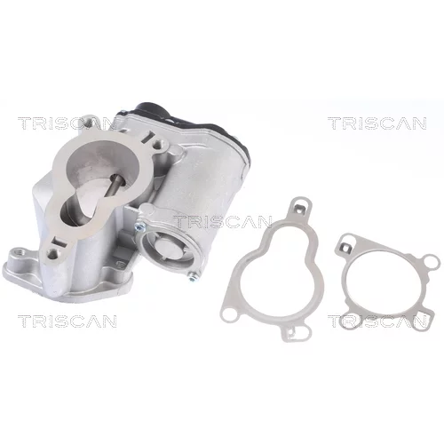 EGR ventil TRISCAN 8813 14025