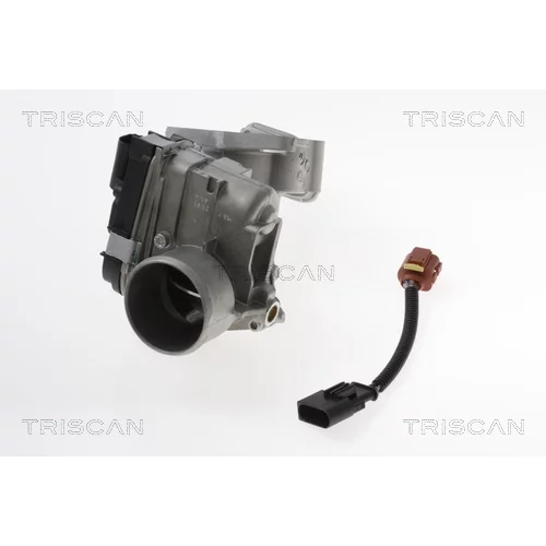 EGR ventil 8813 15100 /TRISCAN/ - obr. 4