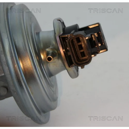 EGR ventil 8813 16045 /TRISCAN/ - obr. 1