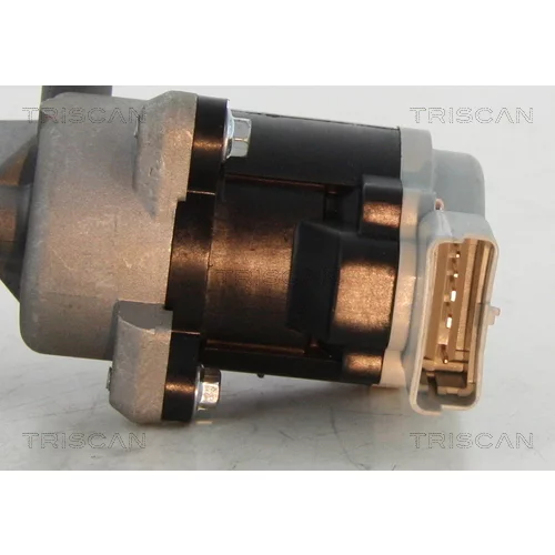 EGR ventil 8813 17008 /TRISCAN/ - obr. 1