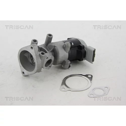 EGR ventil 8813 17008 /TRISCAN/ - obr. 2