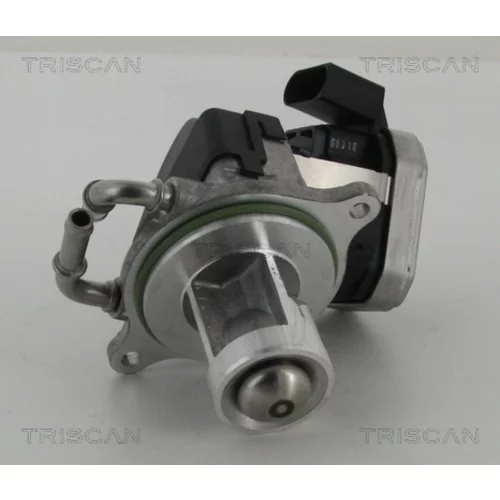 EGR ventil 8813 23002 /TRISCAN/