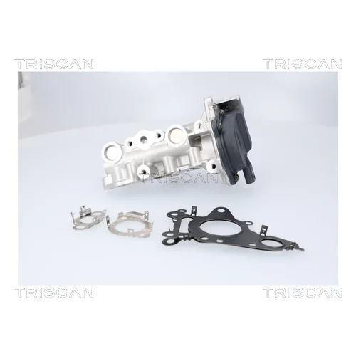 EGR ventil TRISCAN 8813 23041