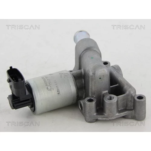 EGR ventil TRISCAN 8813 24059