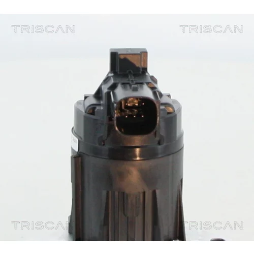 EGR ventil 8813 24209 /TRISCAN/ - obr. 1