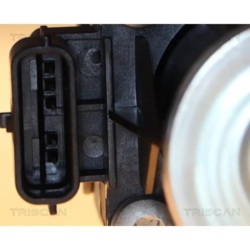 EGR ventil 8813 25040 /TRISCAN/ - obr. 1