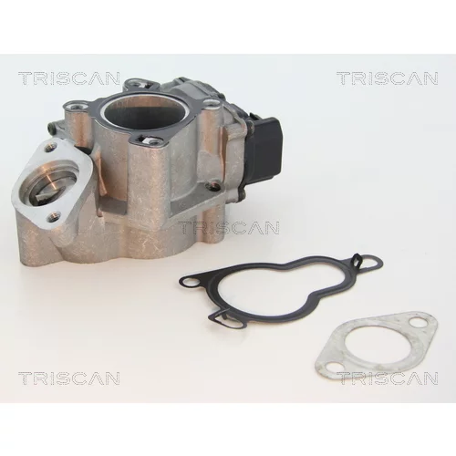 EGR ventil TRISCAN 8813 25203