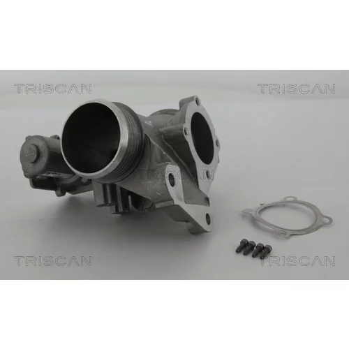 EGR ventil TRISCAN 8813 27001