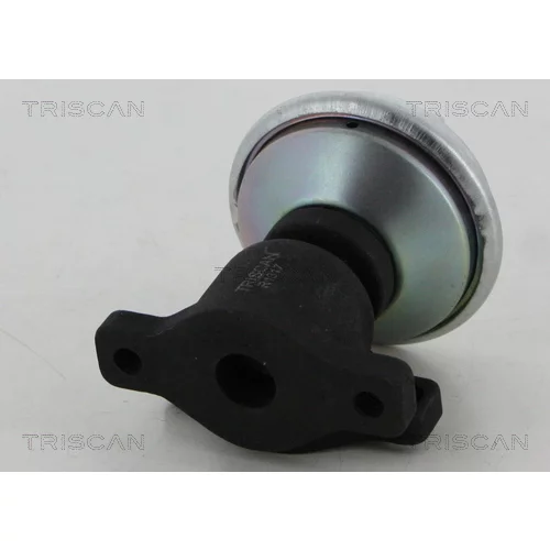 EGR ventil 8813 29053 /TRISCAN/ - obr. 1