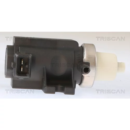 Menič tlaku, Riadenie výfukových plynov 8813 29073 /TRISCAN/ - obr. 1