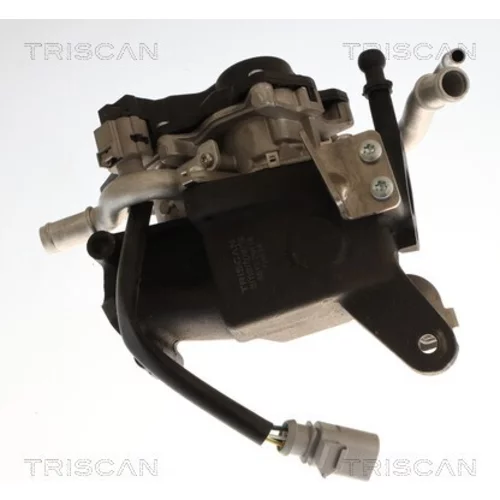 EGR ventil TRISCAN 8813 29118