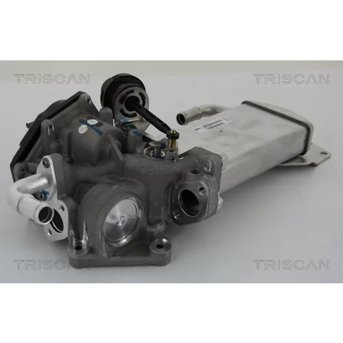 EGR ventil TRISCAN 8813 29303