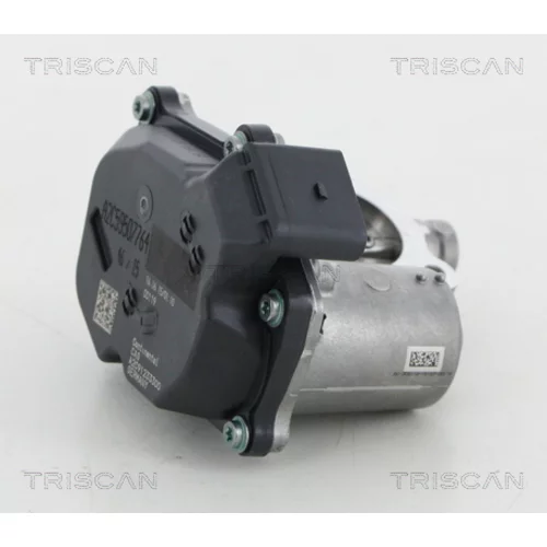 EGR ventil TRISCAN 8813 29317