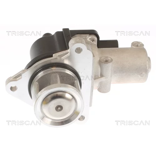 EGR ventil 8813 43010 /TRISCAN/ - obr. 2
