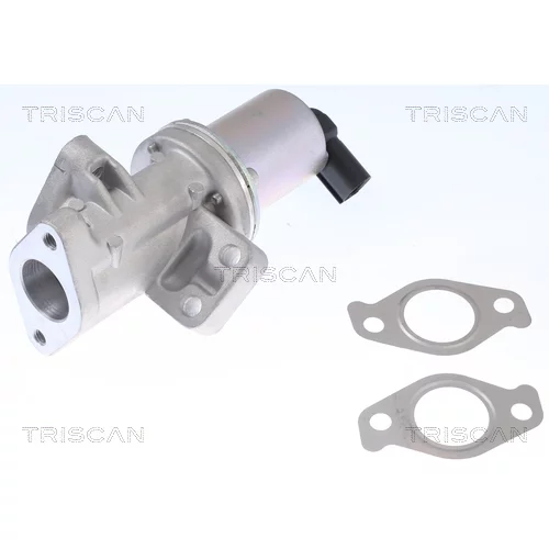 EGR ventil 8813 43024 /TRISCAN/ - obr. 2