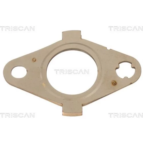 Tesnenie TRISCAN 8813 99203